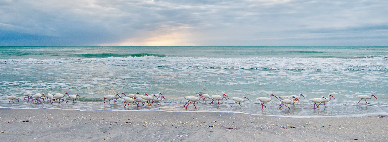 Follow the Leader