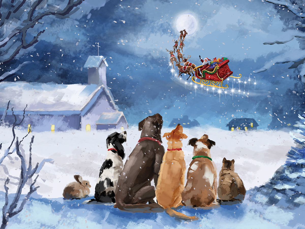 Pets Watching Santa
