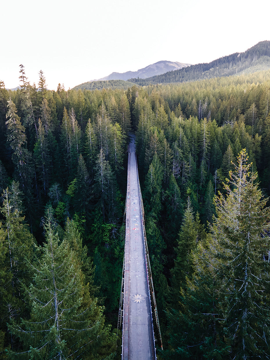 Pines