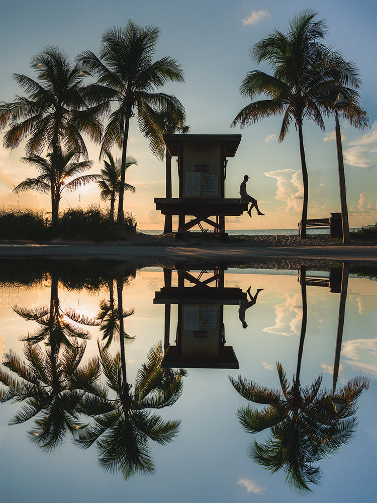 Palm Tree Reflection