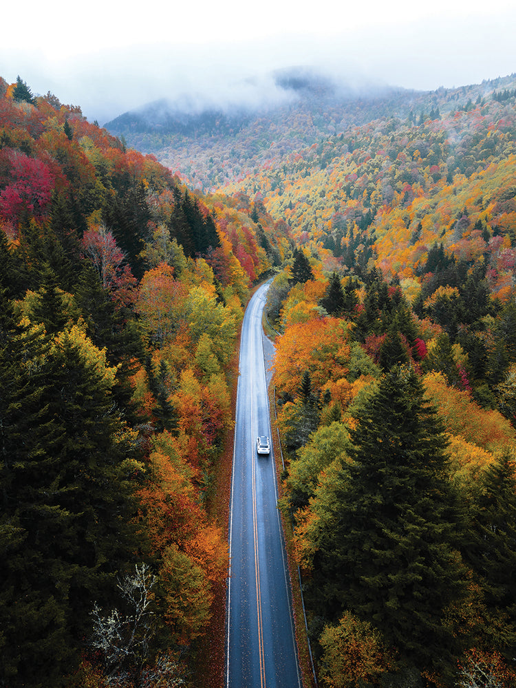 October Road
