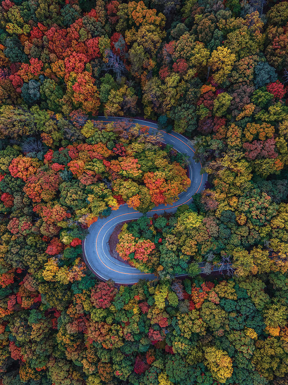 Fall Symmetry
