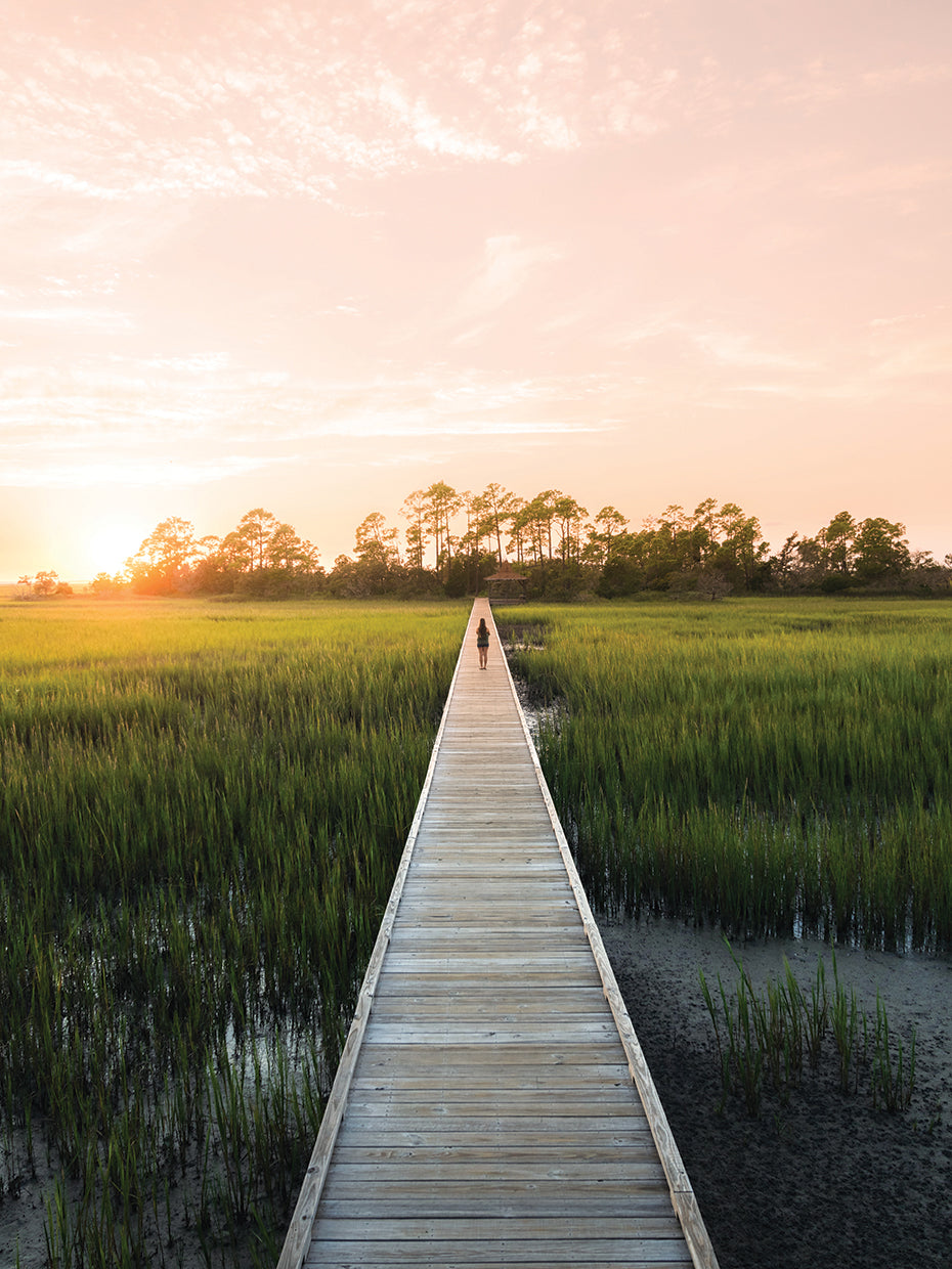 Marshland