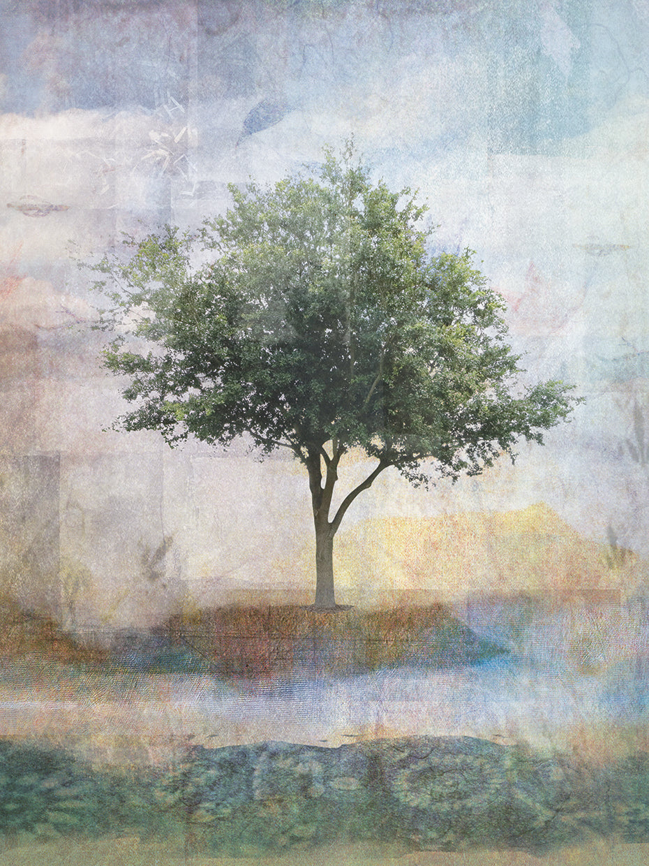 TREE COLLAGE l