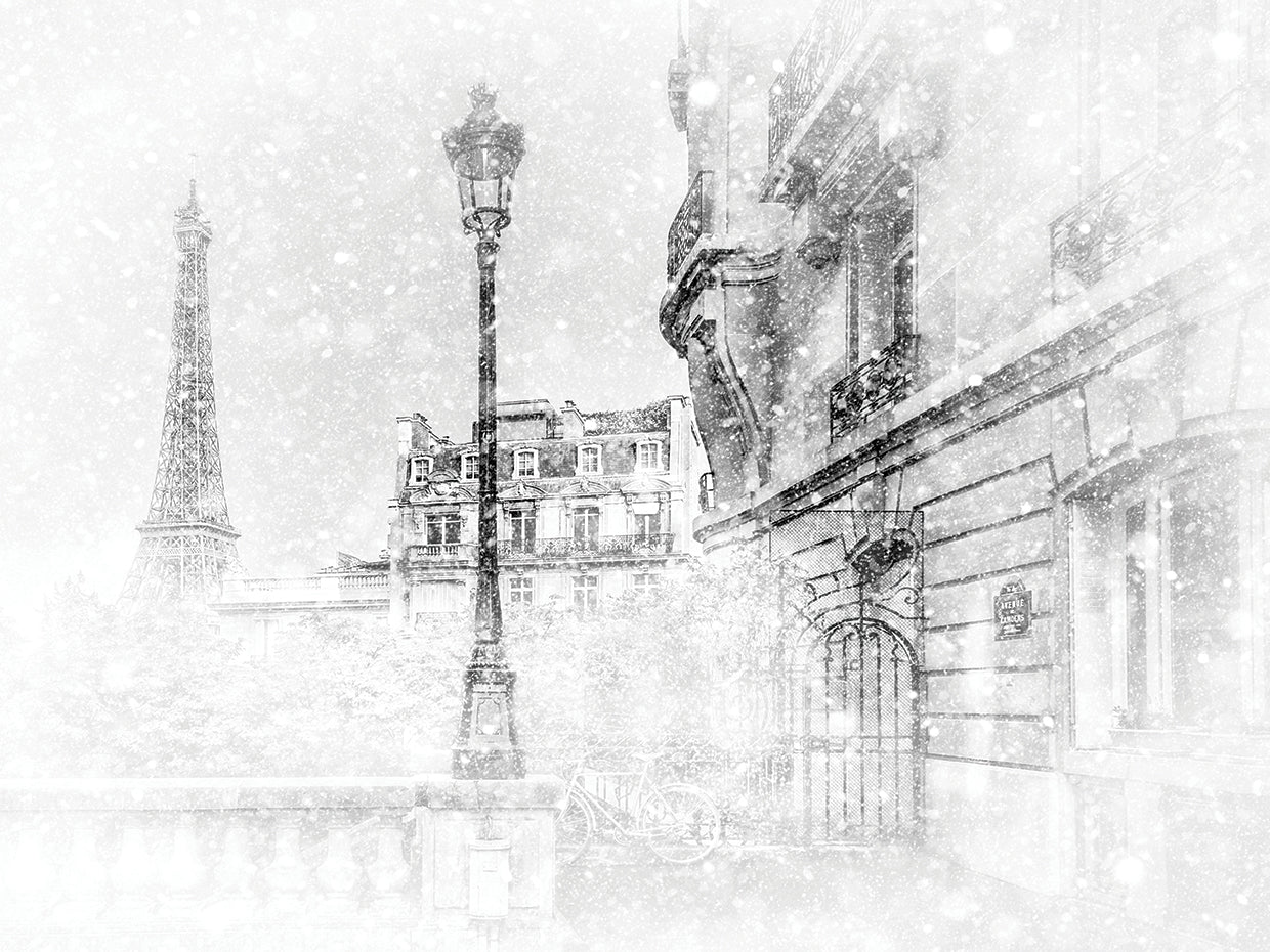 Eiffle Tower Scene Paris