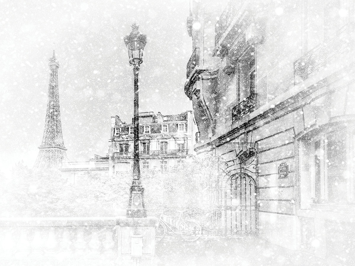 Eiffle Tower Scene Paris