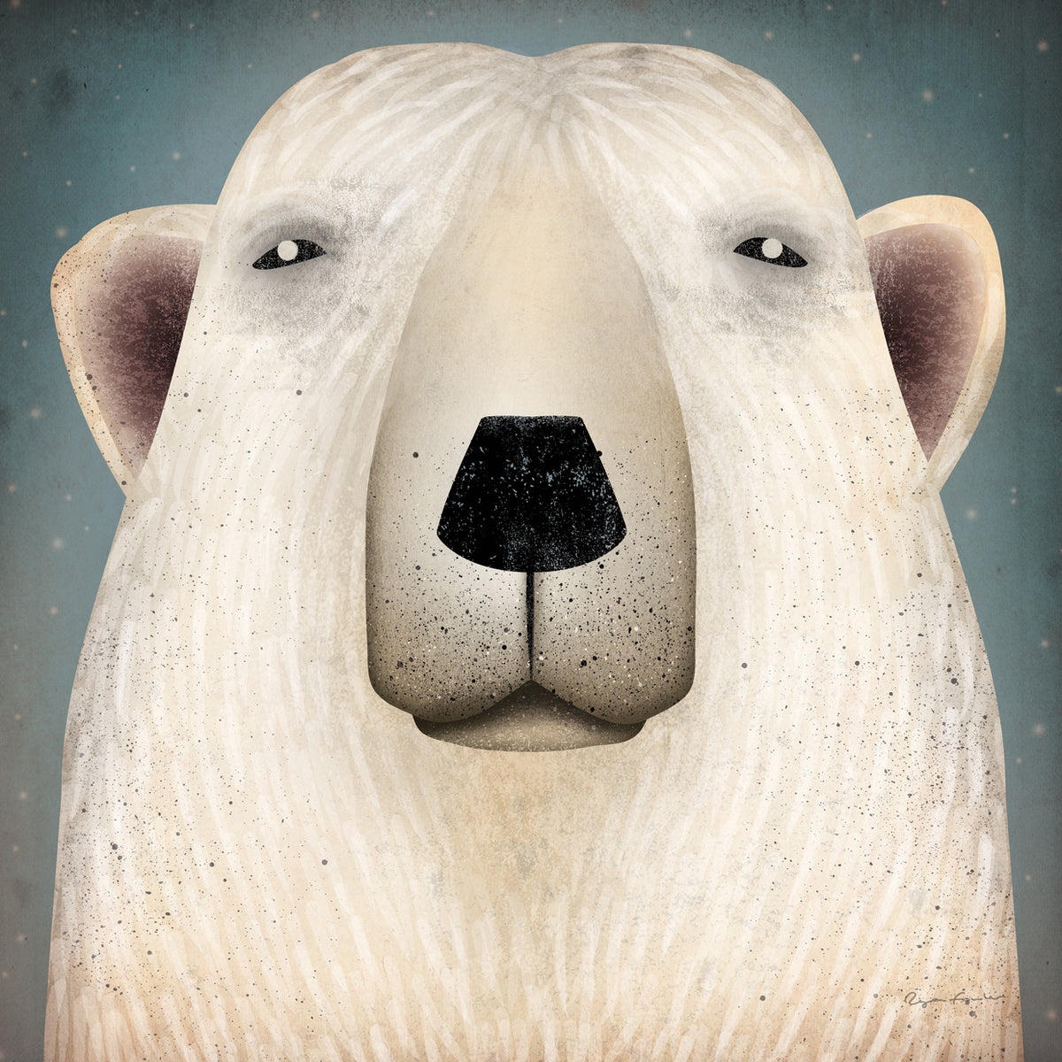 Polar Bear Wow
