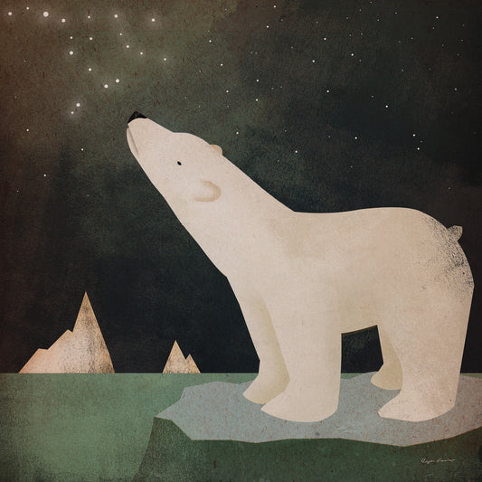 Constellations Polar Bear