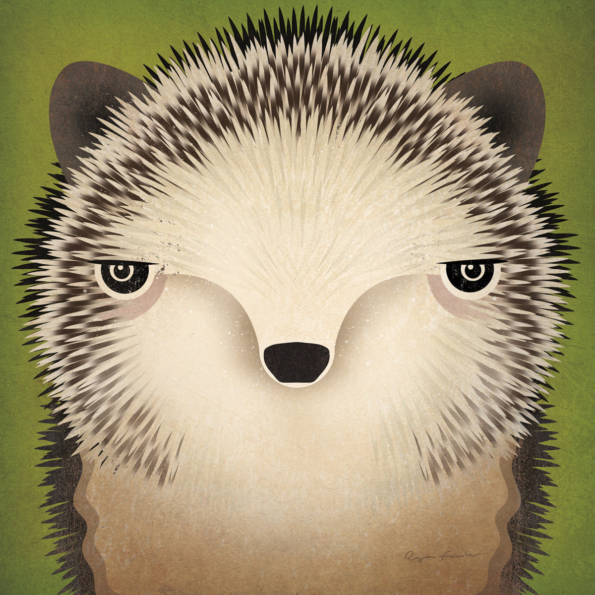 Baby Hedgehog