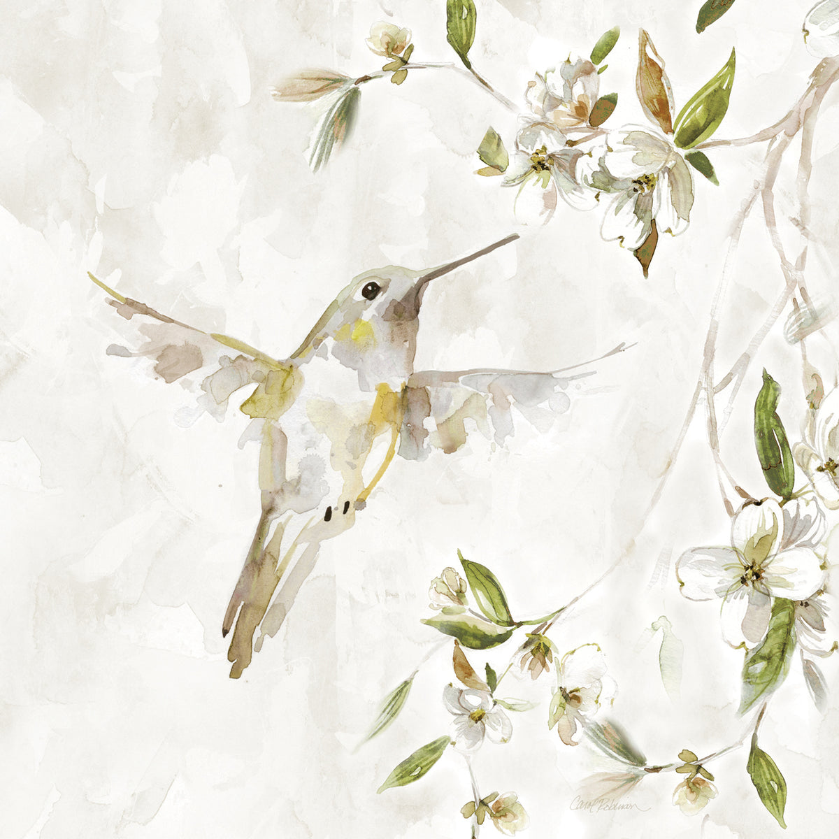 Hummingbird I