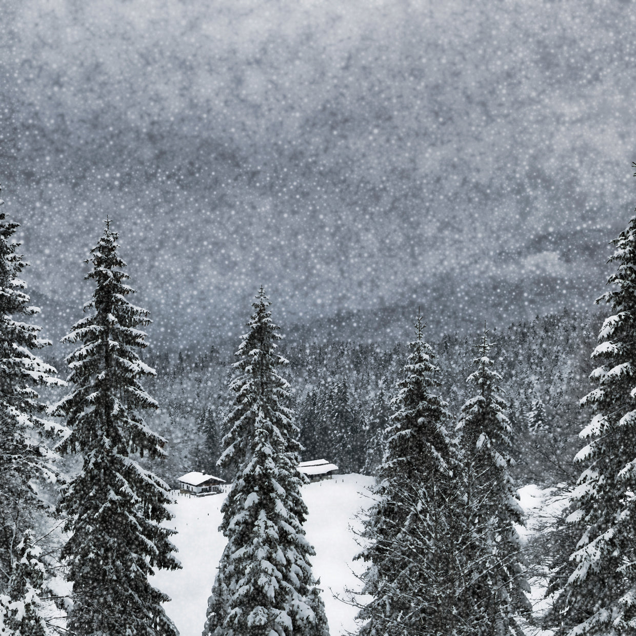 Bavarian Winter's Tale I