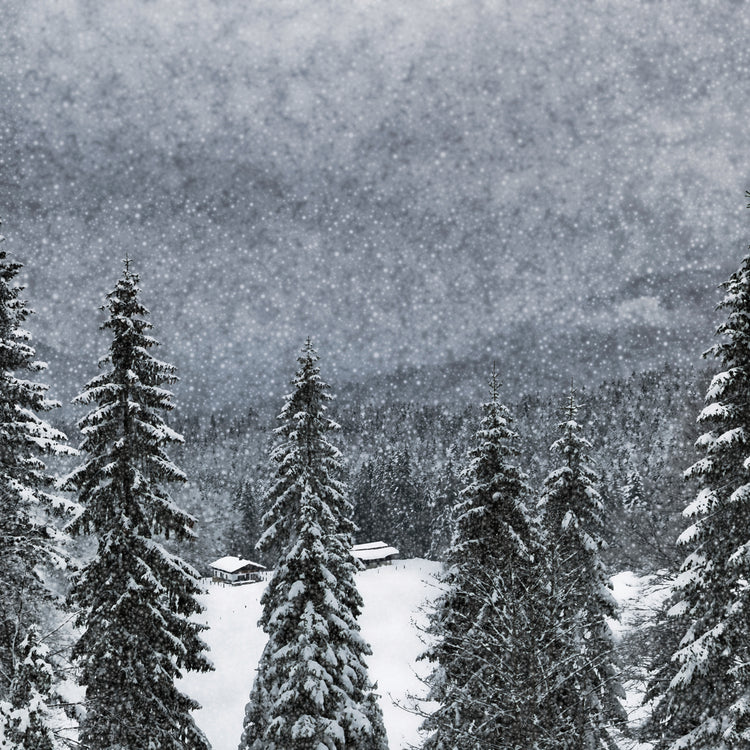 Bavarian Winter's Tale I