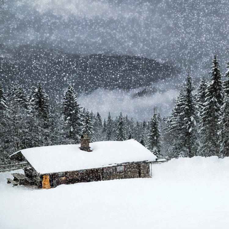 Bavarian Winter's Tale II