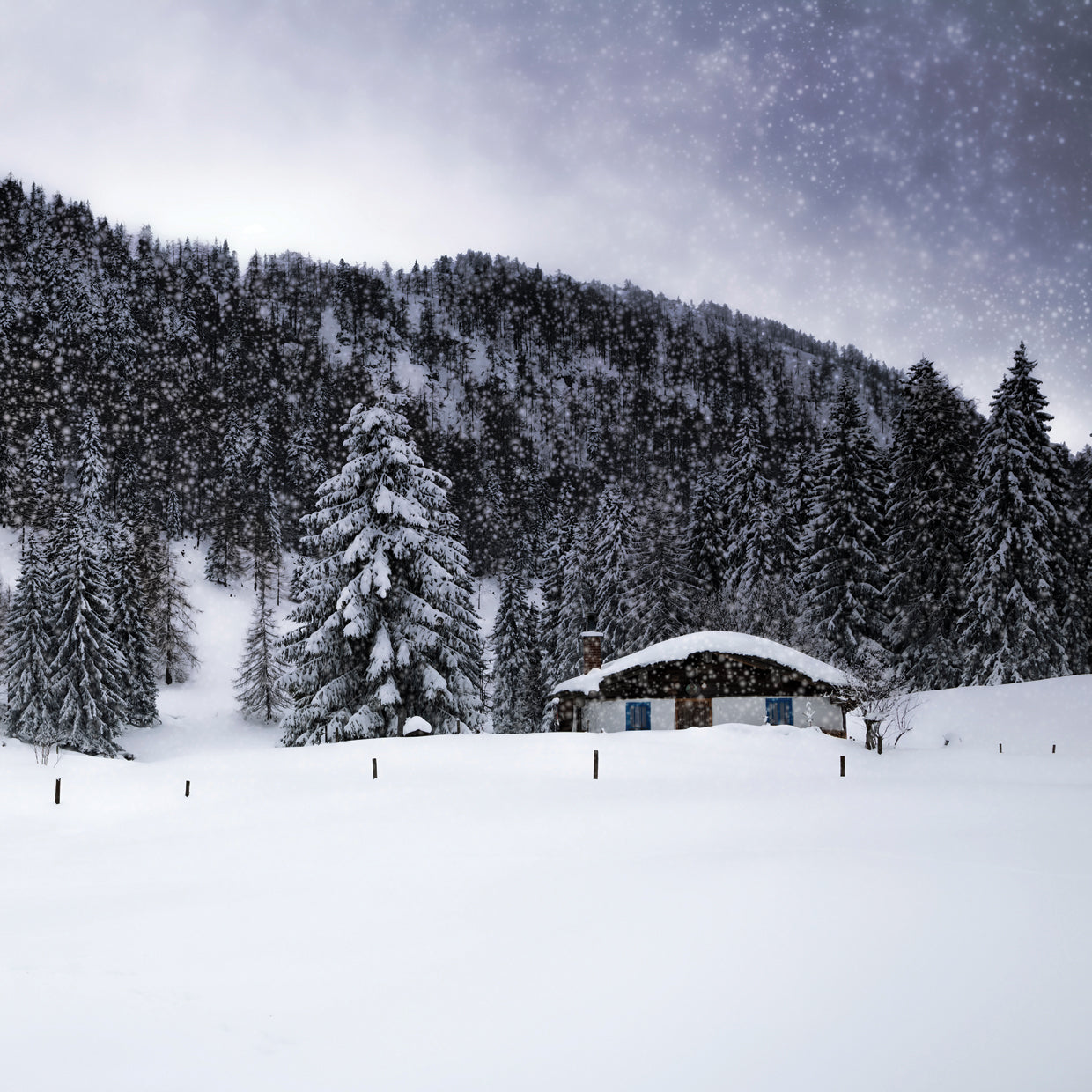 Bavarian Winter's Tale VIII