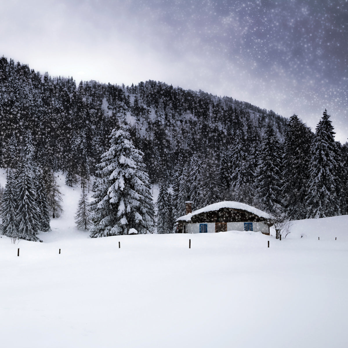 Bavarian Winter's Tale VIII