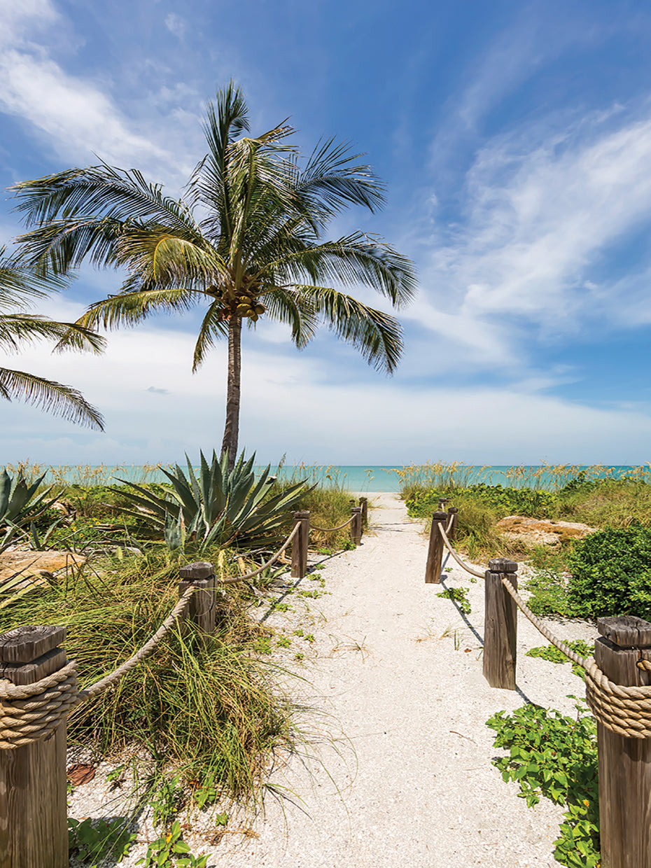 Path to the beach