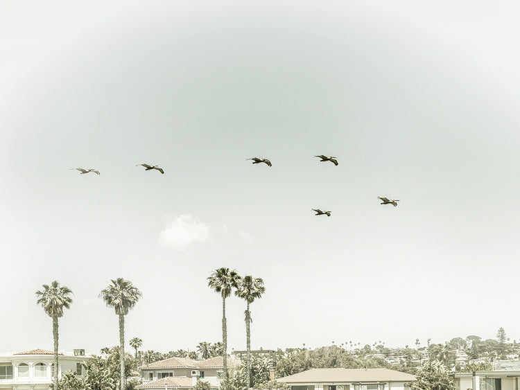 Above the rooftops of San Diego | Vintage