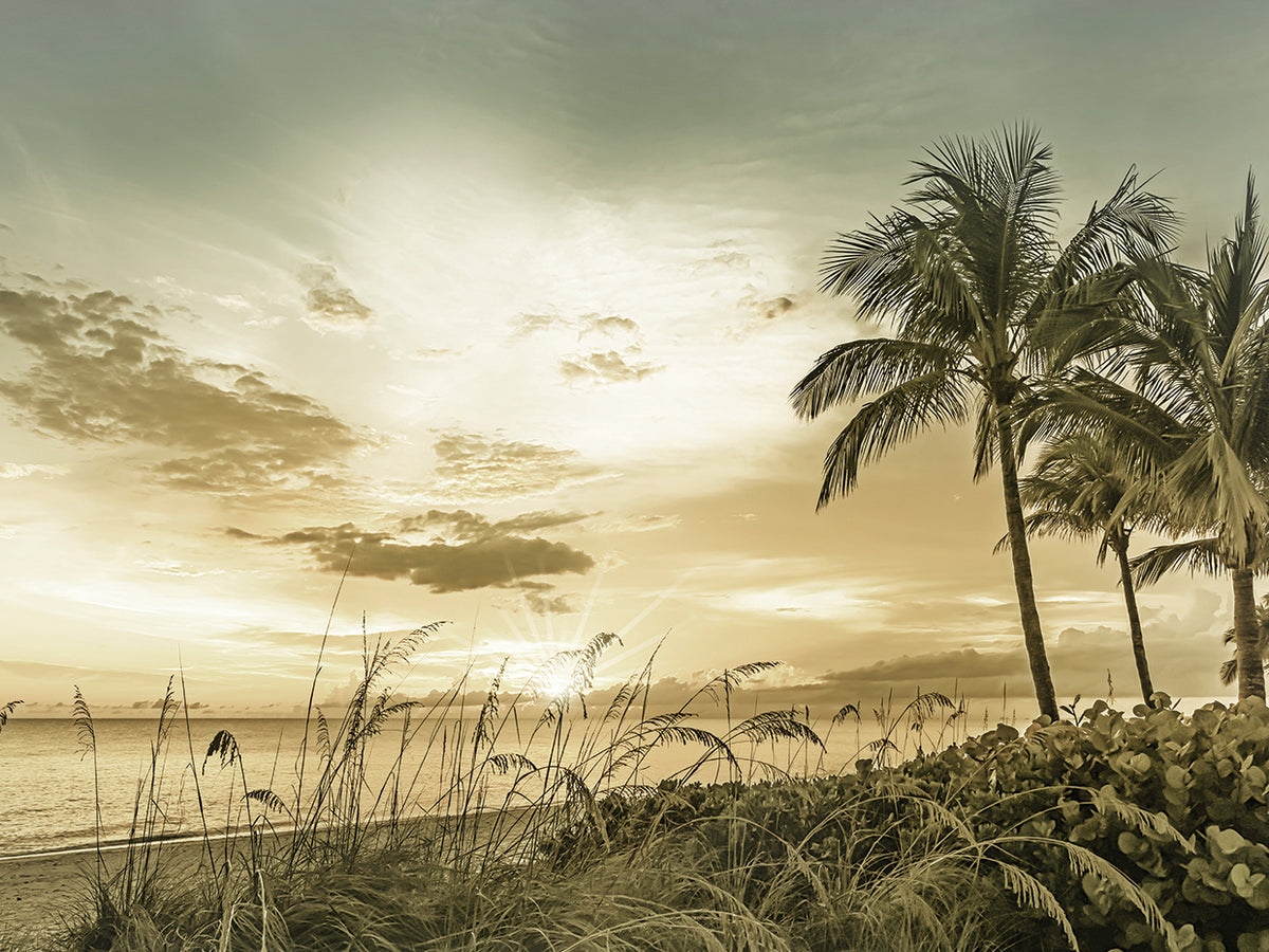 Vintage BONITA BEACH Sunset