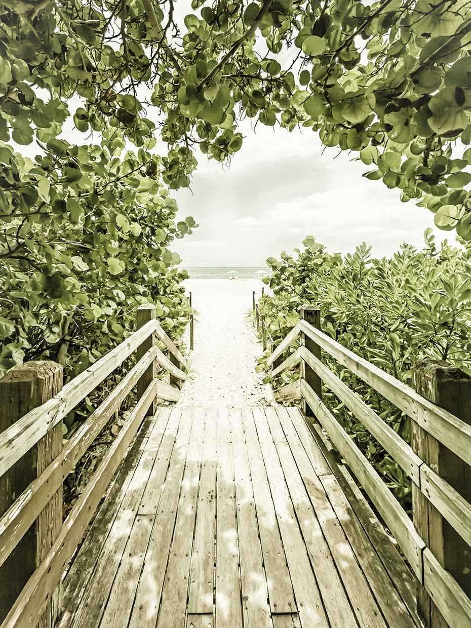 Bridge to Miami Beach