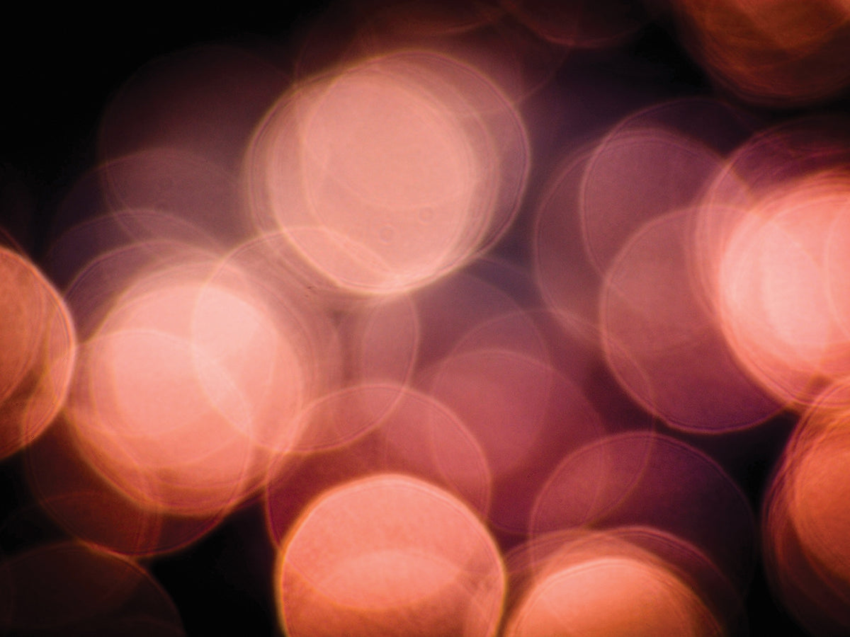 Light on Water II