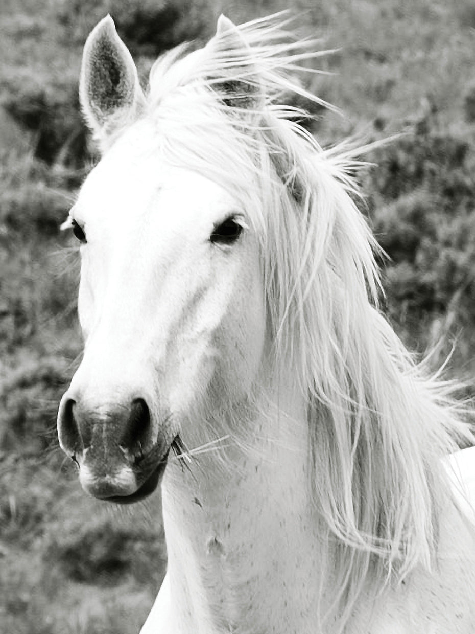 Never Miss A Moment Black and White