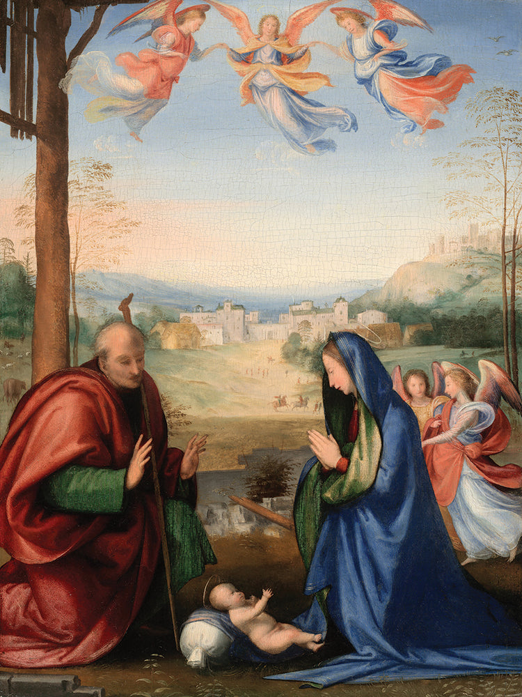 The Nativity (1504 07)
