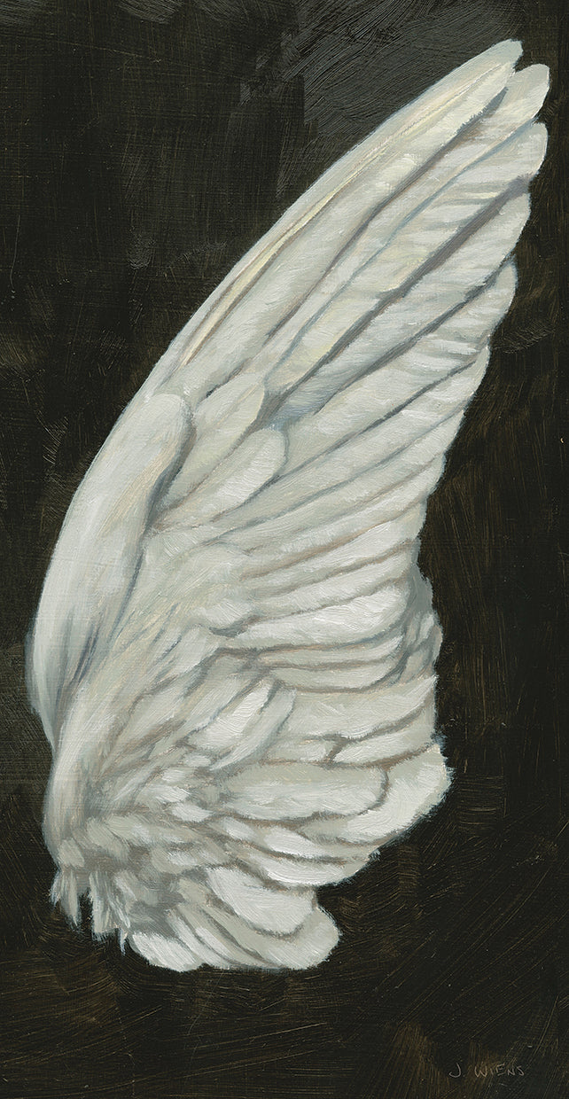 wings-iii-james-wiens