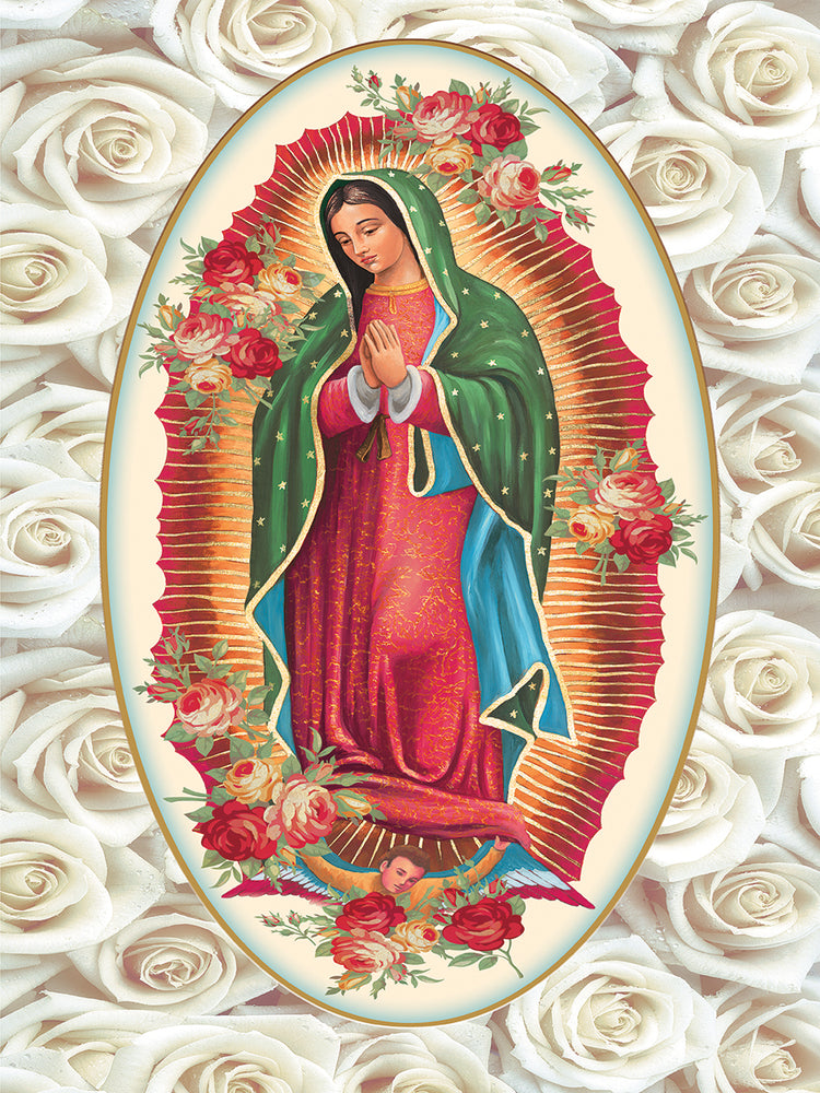 White Rose Guadalupe