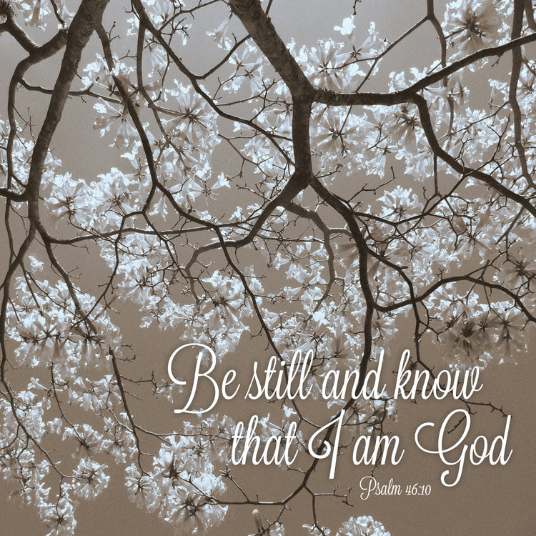 Be Still and Know that I am God