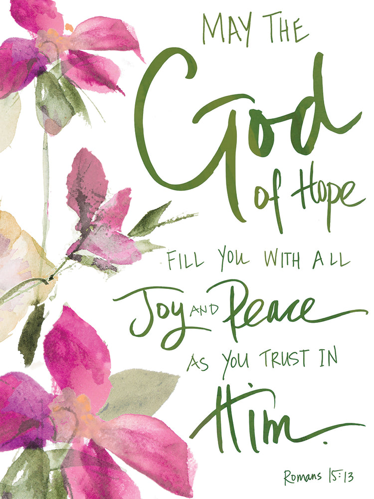 Joy and Peace Geraniums