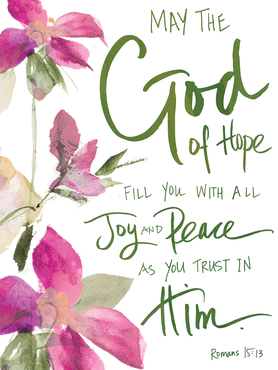 Joy and Peace Geraniums