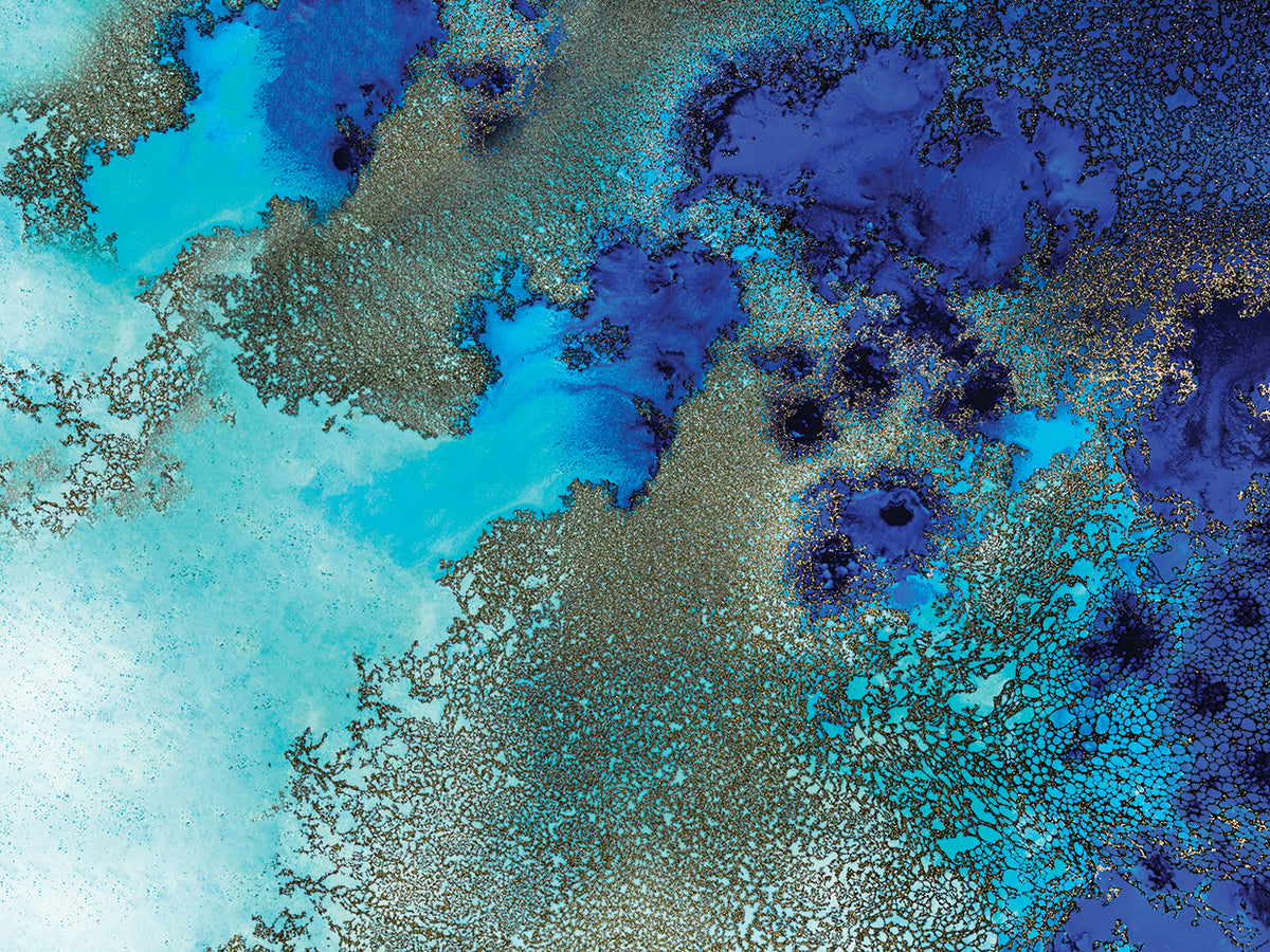 Reef Resonance