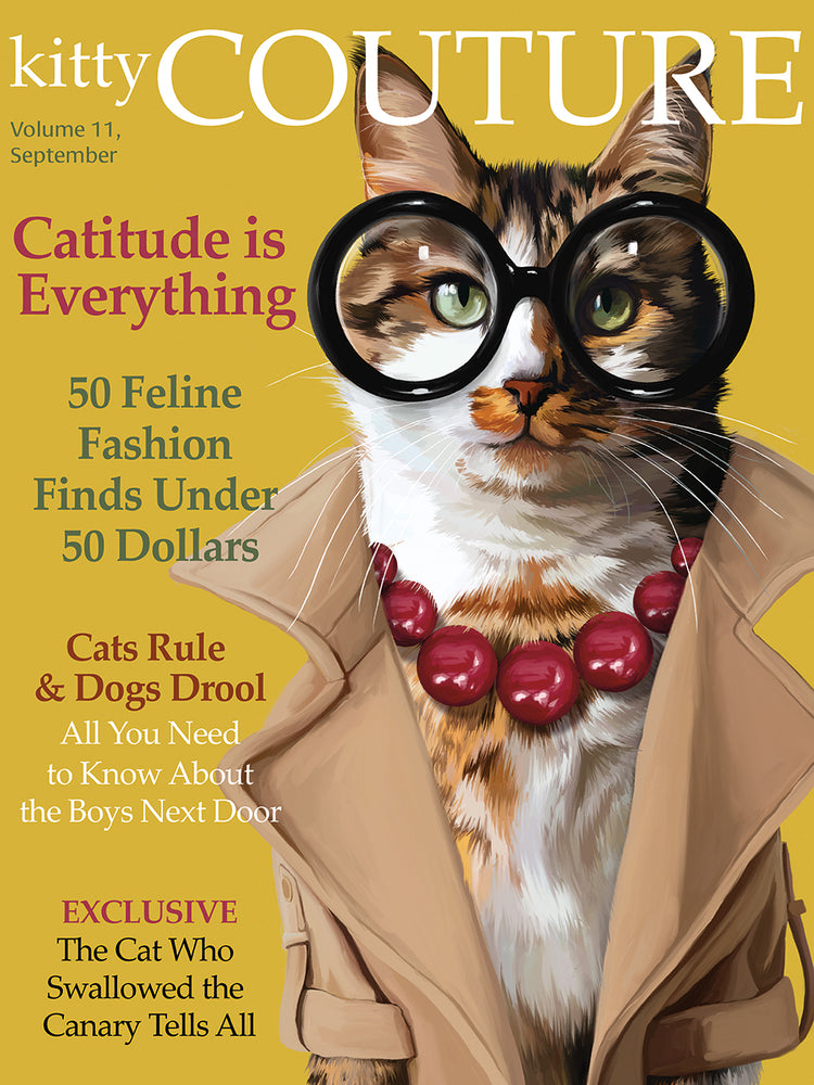 Catitude is Everything