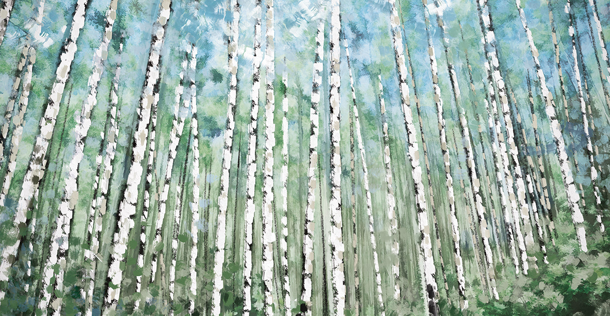 Aspen Forest