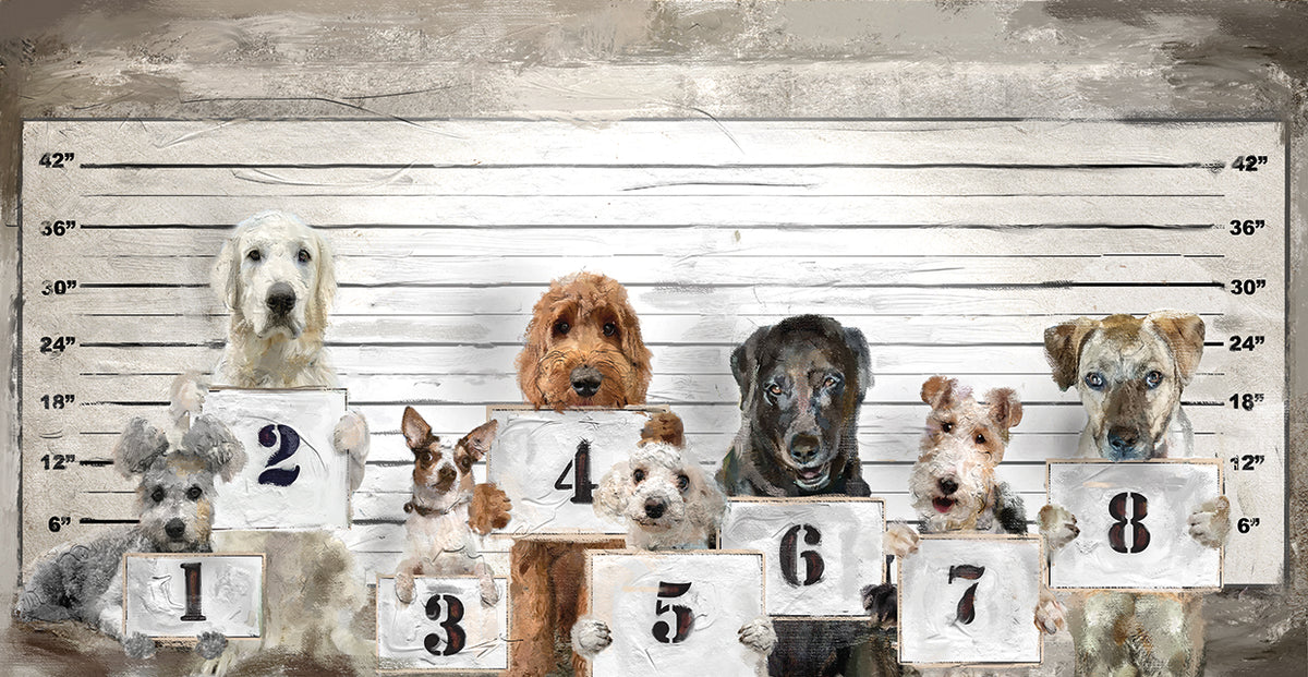Bad Dogs II