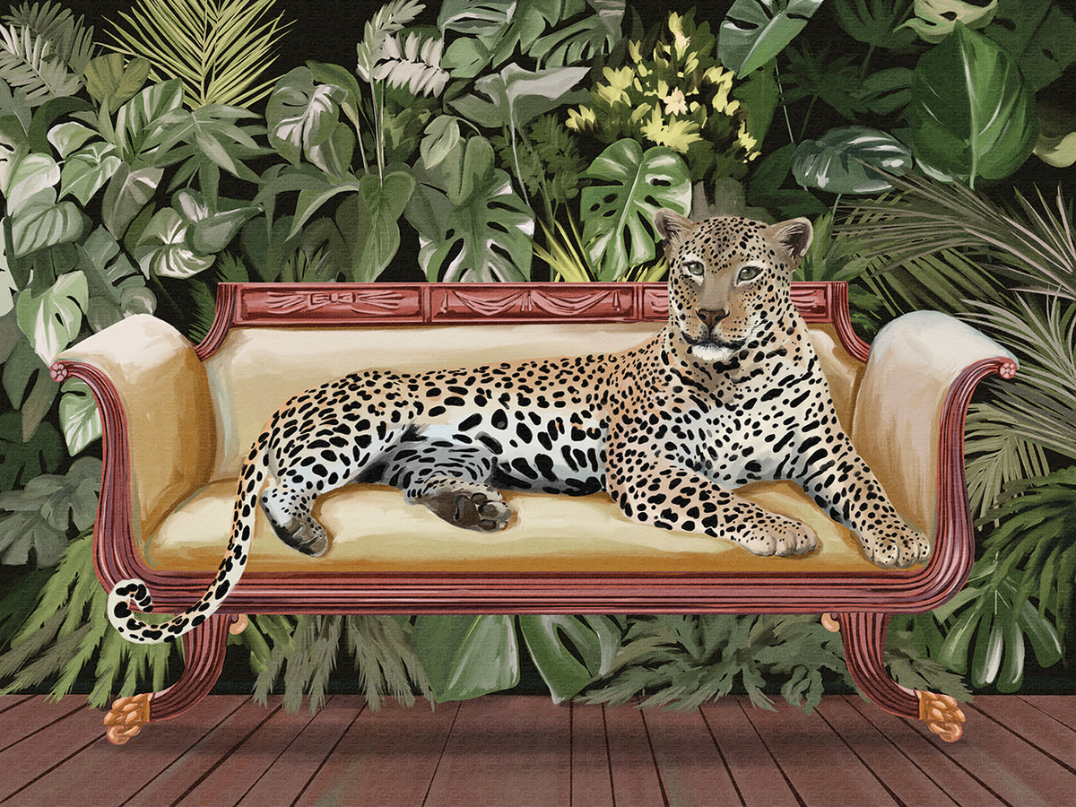 Cat Nap