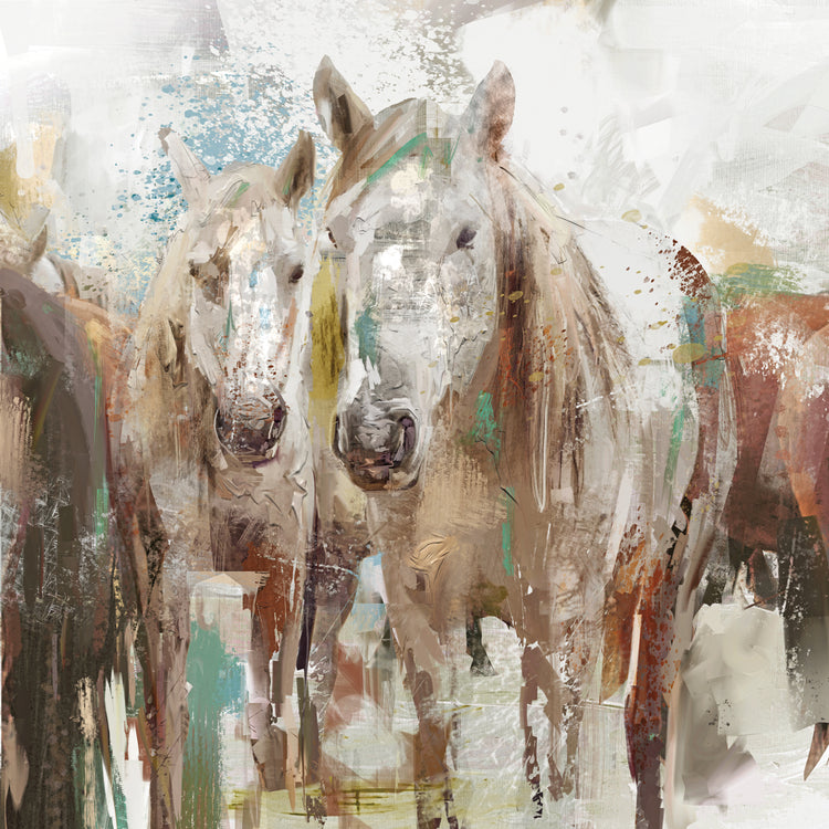 Equine Abstraction