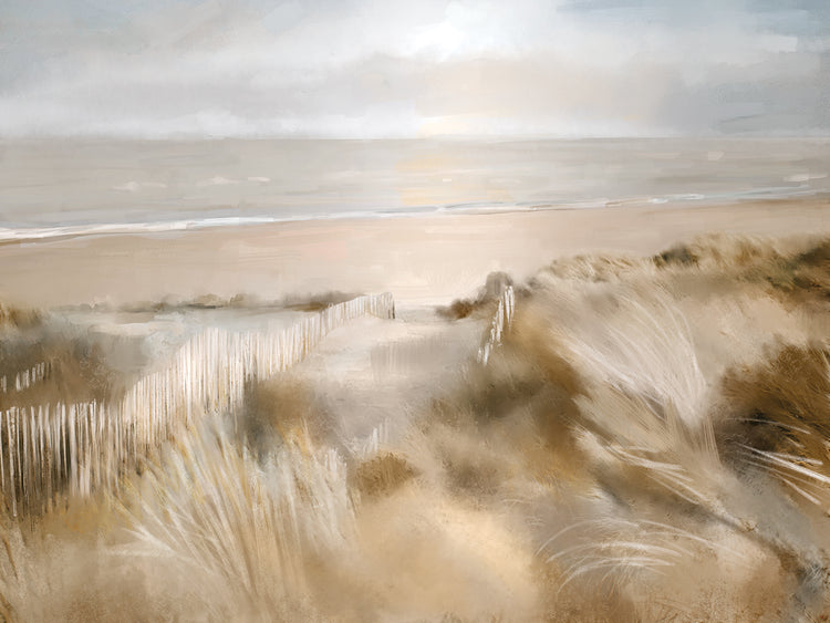 Late Summer Dunes