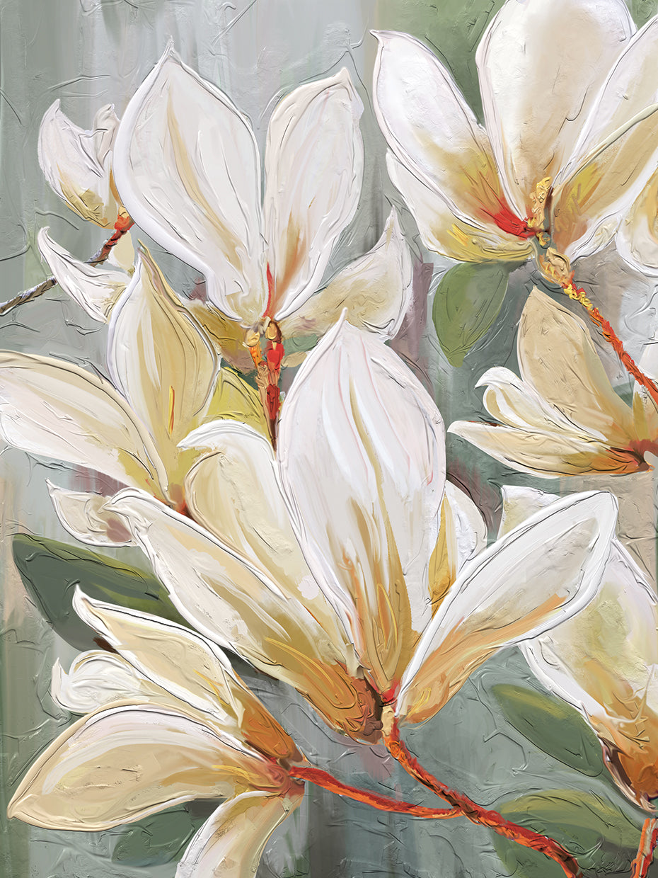 Magnolia Morning