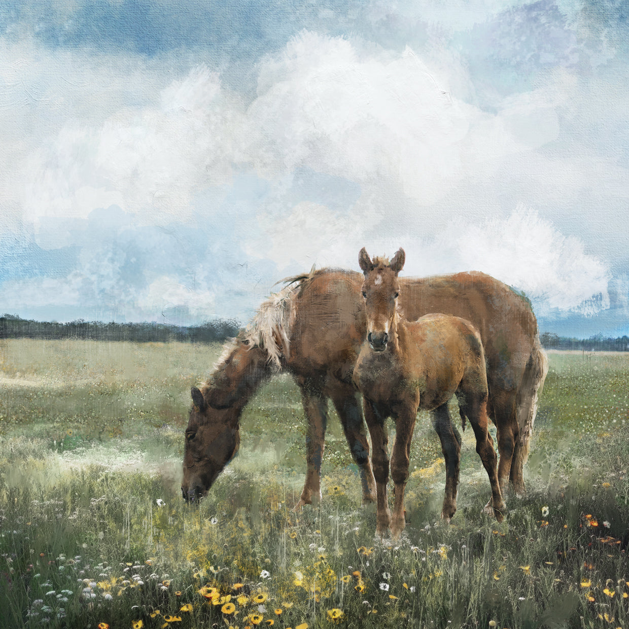 Meadow Horses