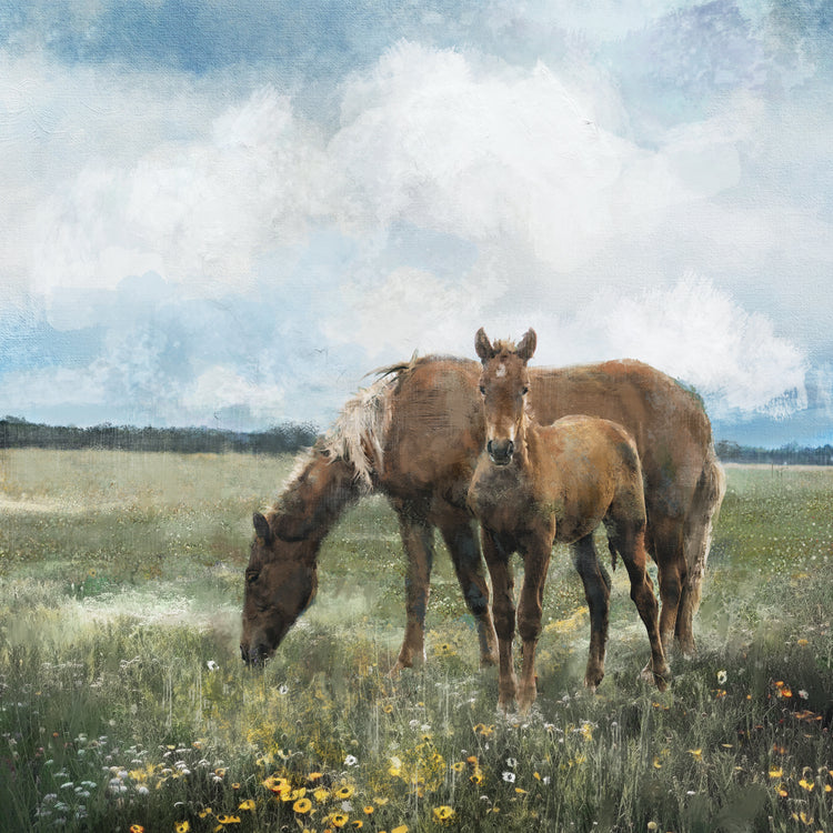Meadow Horses