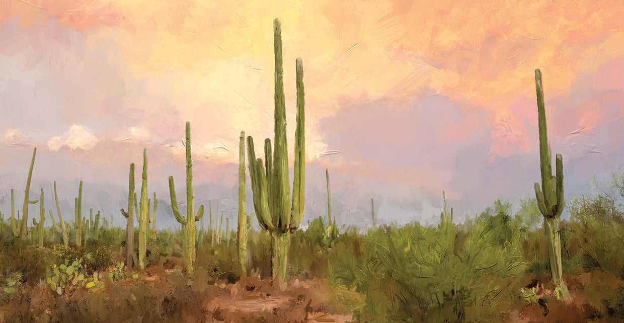Southwest Colors