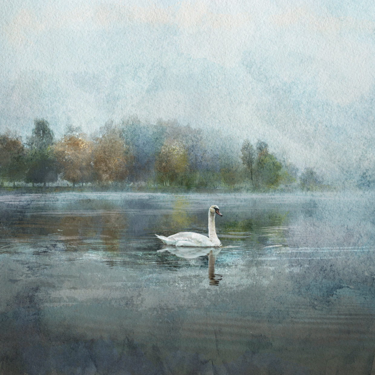Studio Arts's Swan Song Canvas Art Prints | Fine Art Canvas