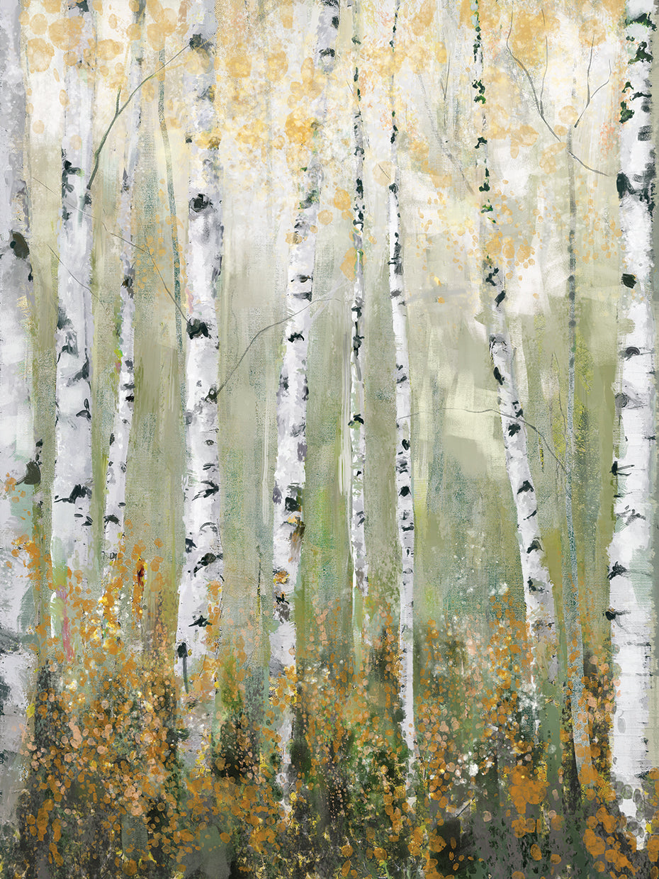 Through the Forest