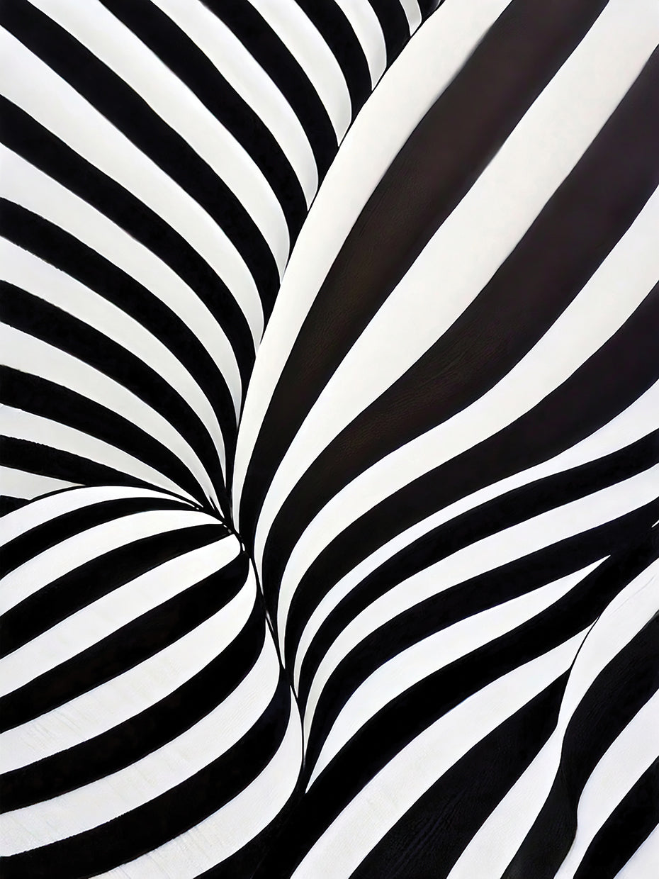 Black and White Abstract 2