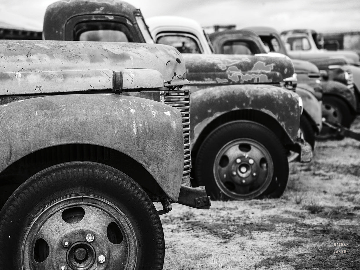 Line Up BW