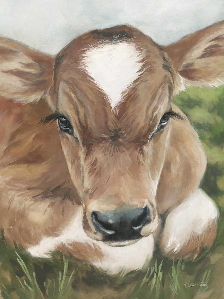 Gentle Calf Face
