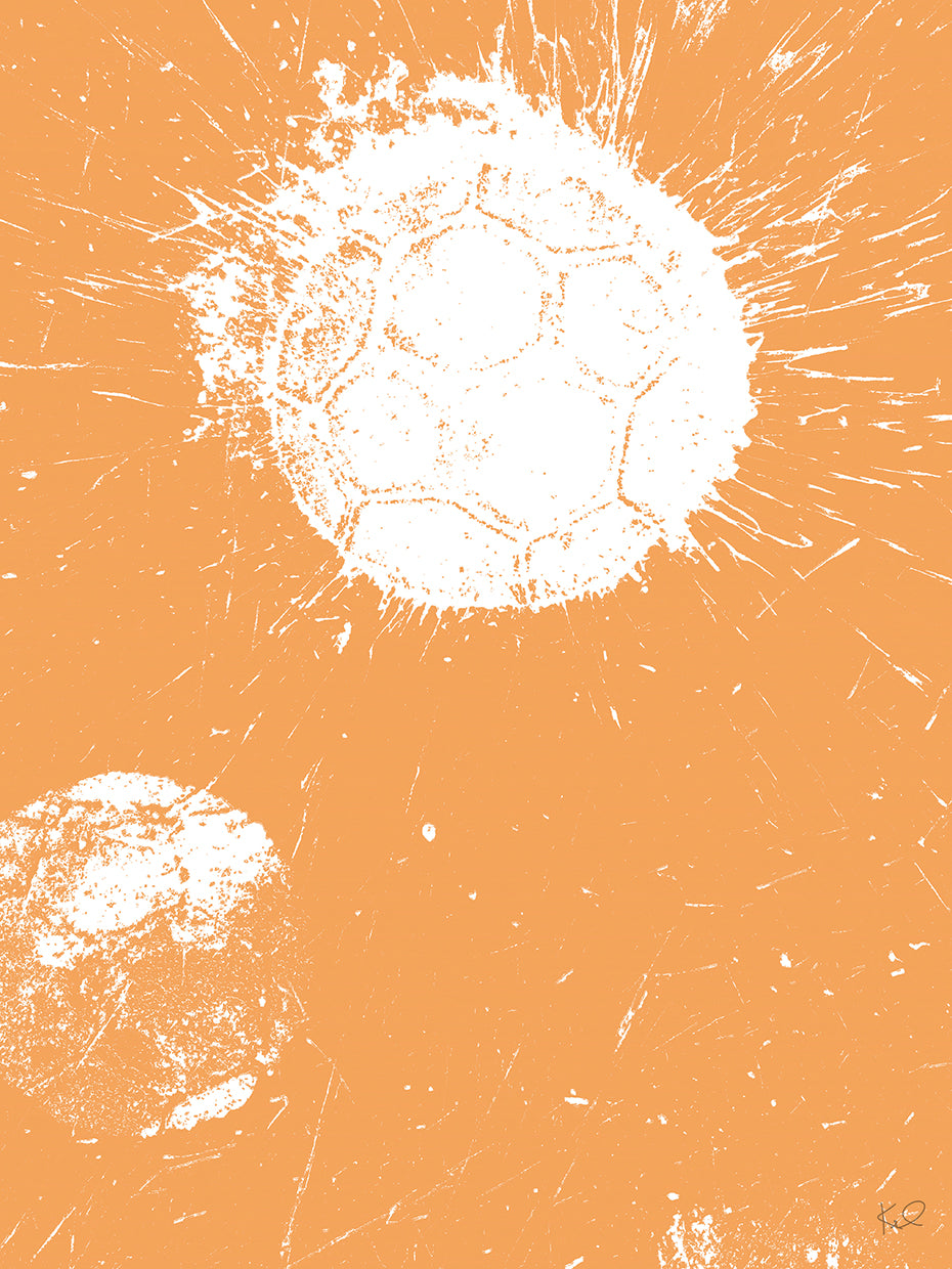 Baller IV Crop