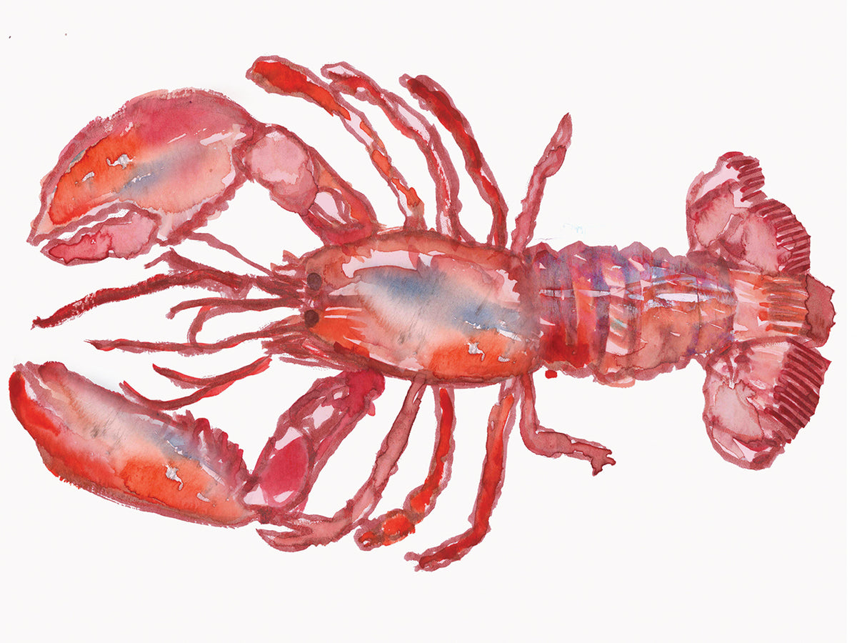 Lobster