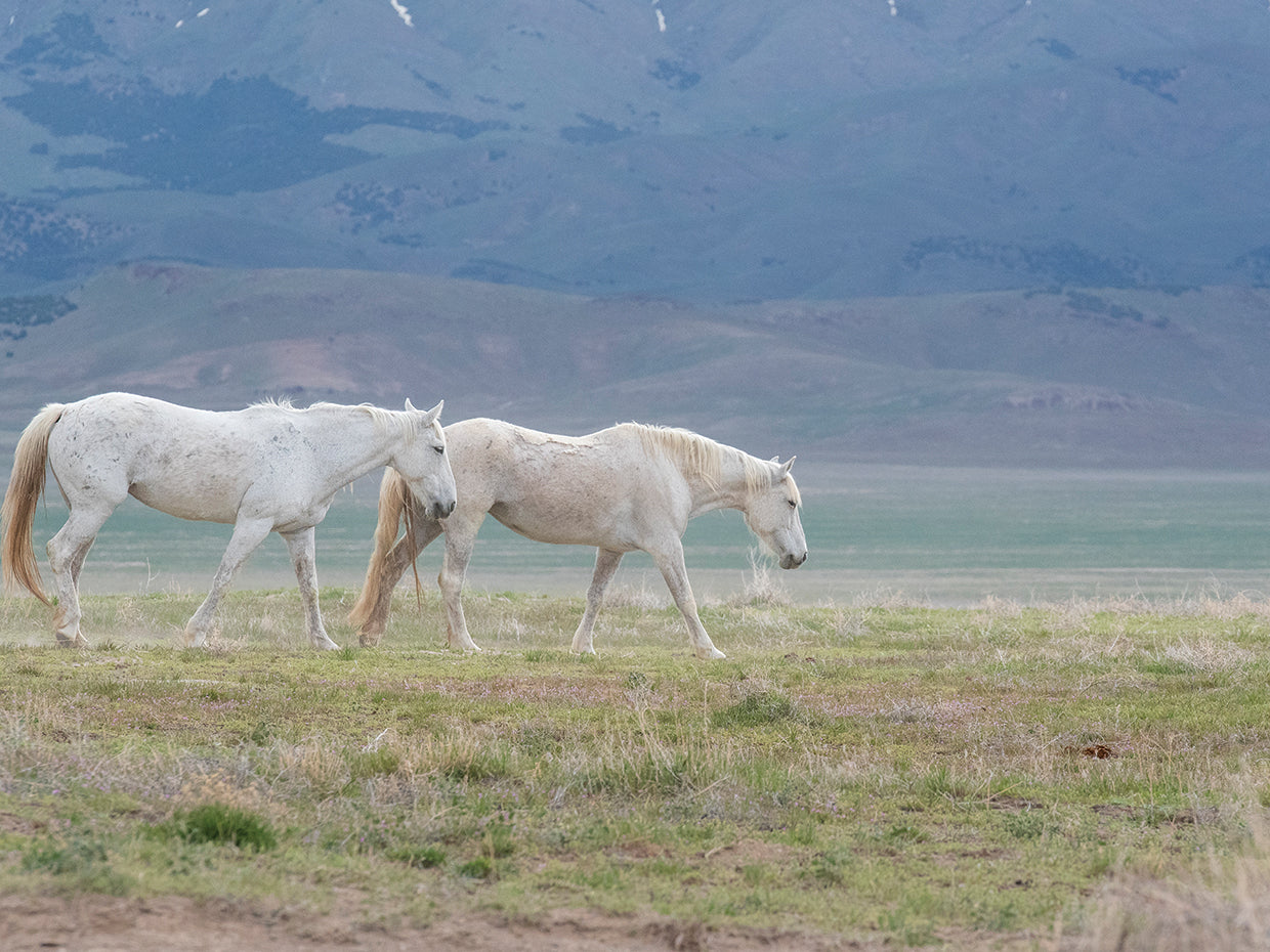 Out West